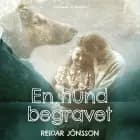 En hund begravet