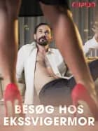 Besøg hos ekssvigermor
