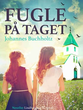 Fugle på taget af Johannes Buchholtz