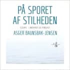 På sporet af stilheden