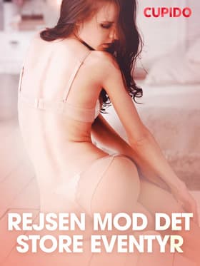 Rejsen mod det store eventyr - erotiske noveller af Cupido