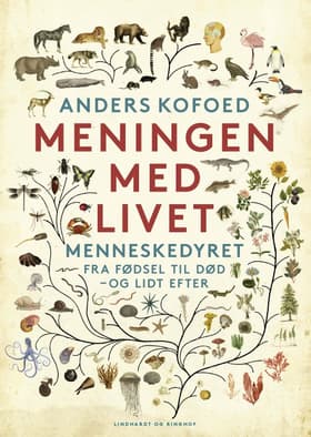 Meningen med livet af Anders Kofoed