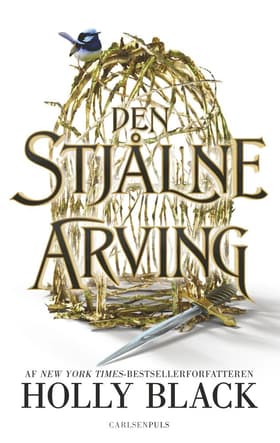 Den stjålne arving af Holly Black