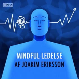 Perspektiver på stress af Joakim Eriksson
