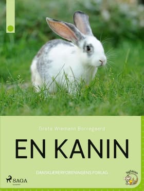 En kanin af Grete Wiemann Borregaard