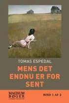 Mens det endnu er for sent (Storskrift)