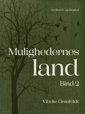 Mulighedernes land. Bind 2 af Vibeke Grønfeldt