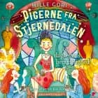 Pigerne fra Stjernedalen - og dagbogens hemmelighed