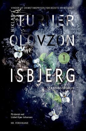 Isbjerg af Niklas Turner Olovzon