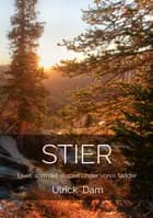 STIER