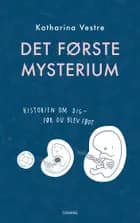 Det første mysterium