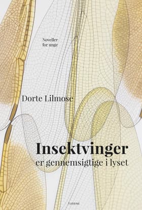 Insektvinger er gennemsigtige i lyset af Dorte Lilmose