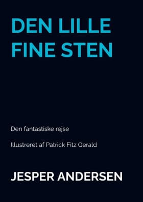 DEN LILLE FINE STEN af Jesper Andersen