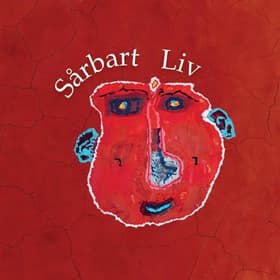 Sårbart Liv af Viktor Salquist Stille