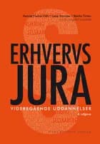 Erhvervsjura