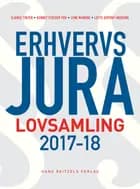 Erhvervsjura