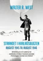 Strandet i Hvalrosbugten, august 1945 til august 1946