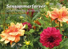 Sensommerfarver af Thomas Kristensen