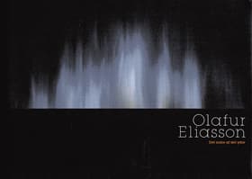 Olafur Eliasson af Malene Ratcliffe