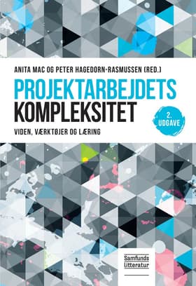 Projektarbejdets kompleksitet af Anita Mac
