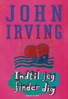Indtil jeg finder dig