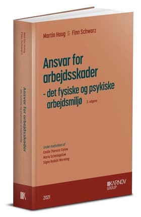 Ansvar for arbejdsskader af Finn Schwarz