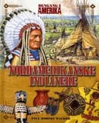 Nordamerikanske indianere