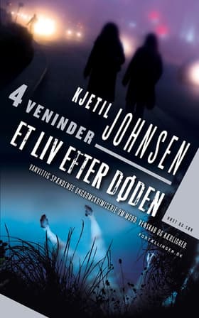 Et liv efter døden af Kjetil Johnsen