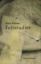 Feltstudier
