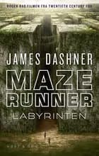 Maze Runner - Labyrinten