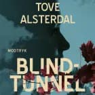 Blindtunnel