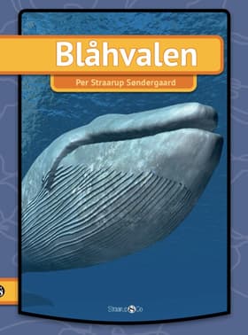 Blåhvalen af Per Straarup Søndergaard