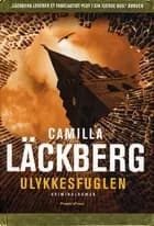 Ulykkesfuglen