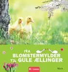 Fra blomstermylder til gule ællinger