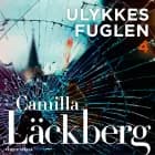 Ulykkesfuglen