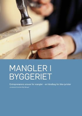 Mangler i byggeriet af Christian Molt Wengel