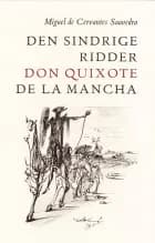Den sindrige ridder don Quixote de la Mancha