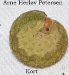 Kort