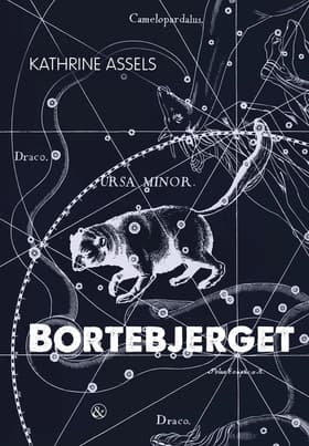 Bortebjerget af Kathrine Assels