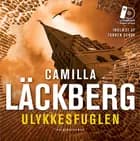 Ulykkesfuglen