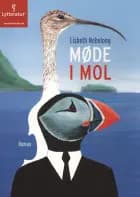 Møde i mol