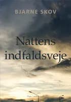 Nattens indfaldsveje