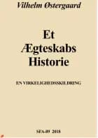 Et ægteskabs historie