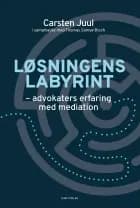 Løsningens labyrint