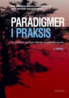 Paradigmer i praksis