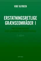 Erstatningsretlige grænseområder I