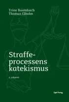 Straffeprocessens katekismus