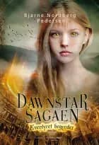 Eventyret begynder - Dawnstar-sagaen 1