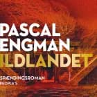 Ildlandet