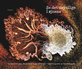 Se det usynlige i øjnene af Tor Nørretranders